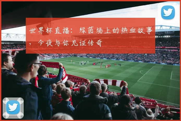 世界杯直播：绿茵场上的热血故事，今夜与你见证传奇